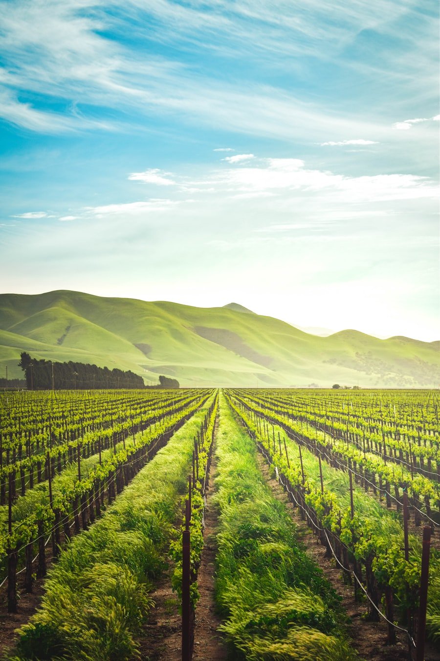Agriculture & Food Systems